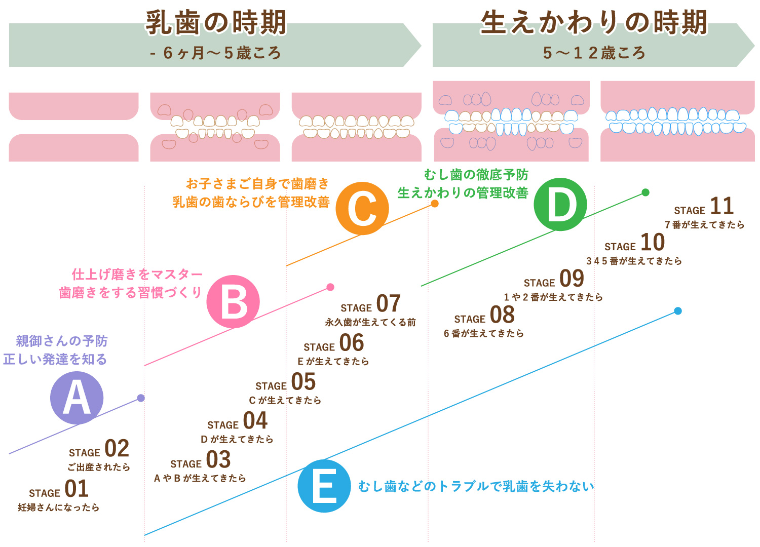 予防成長管理の全体像